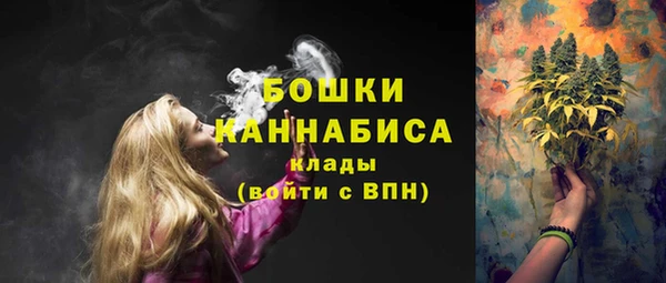 ГАЛЛЮЦИНОГЕННЫЕ ГРИБЫ Чердынь